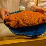 是しん - のこぎりがざみ