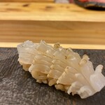 鮨処 凜 - 剣先イカ