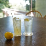 鮨喫茶 すすす - 梶井基次郎のレモンスカッシュ(左)とレモンサワー(右)