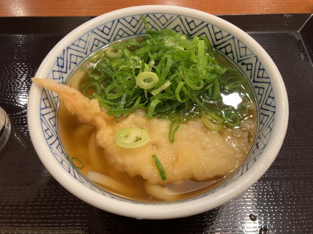 Sunada Dondon Hakozaki T-Cat Ten photo 5