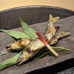 新ばし 星野 - 鮎