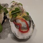 THE COSMOPOLITAN GRILL BAR TERRACE - 