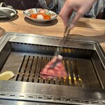 NO MEAT,NO LIFE. 6x - 