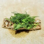 アカ - 太刀魚薪焼きハーブサラダ