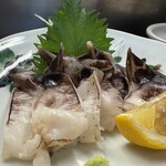 きゃべつ - 京丹後トリガイ