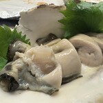 きゃべつ - 的矢かき