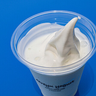 ヨーグルト工房 Atreyu_0