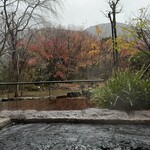 箱根吟遊 武蔵野本館 - 