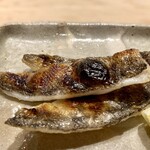 すしやのたい悟 - ＊