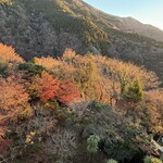 箱根吟遊 武蔵野本館 - 