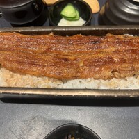 うなぎ四代目菊川 ヒルトンプラザウエスト大阪店 - 