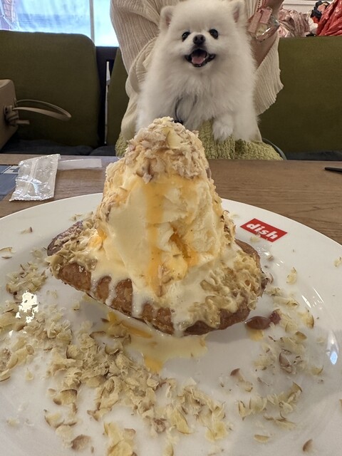 dish-tokyogastronomycafe photo 2