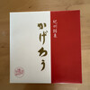 銘菓 かげろう 南紀白浜とれとれ市場