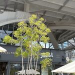 Farm& - ミライタワーの下