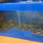 大幸商店 - 