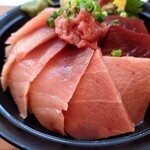 焼津港 みなみ - 