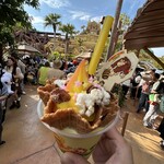 ジャングル・ビート・シェイク  - DKクラッシュサンデー1300円