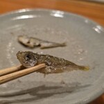 日本料理 別府 廣門 - 鯵