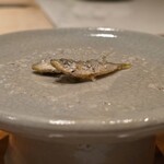 日本料理 別府 廣門 - 鯵