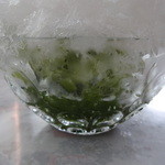 斎藤もちや - 引き茶氷（シロップ部）（2014/08）