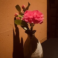 日本料理 楮山 - 