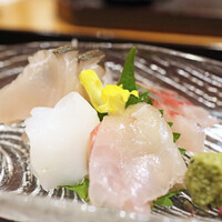 味処えんどう - 季節の刺身 四種盛り（鰆の炙り、アオリイカ、黒鯛、シマアジ）