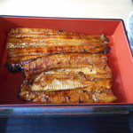 かわ広 - 鰻重上　鰻１尾