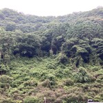 木の花ガルテン オーガニック農園 大山本店 - 