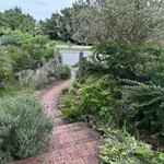 donner - 扉から門までも素敵(右上の木の花が満開♪)