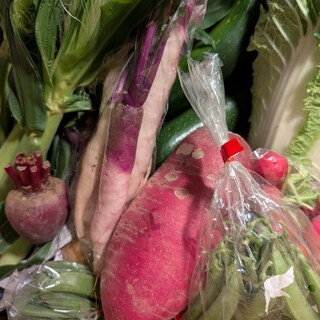 シェフこだわりの山梨県五味農園から届く”東八野菜”