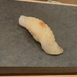 鮨 山口 - アオリイカ