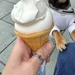 たこやき専門店　たこばやし　 西宮名塩サービスエリア店 - 