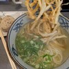 大助うどん