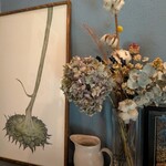 スタイルズケイクス＆カンパニー - 