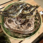 あさば - 鮎炭火焼き
      