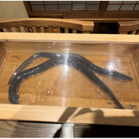 にょろ助 銀座 - 