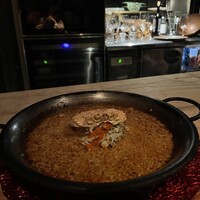 Potoro - 