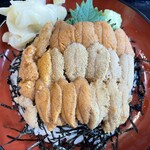 お魚いちば おかせい - 訪問日 2025.6.8(日)