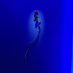 EL DORADO / ホテル イル・パラッツォ - 綺麗なお花