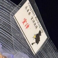 MAIMON GINZA - 