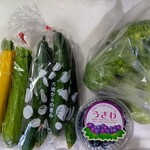 ブルーベリー農園 うざわ - 野菜はどれでも1袋100円でした