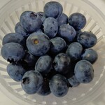 ブルーベリー農園 うざわ - 