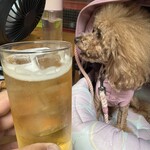 大衆食堂みゆき - キンミヤボトルのホッピー白割りで乾杯♪