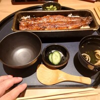 うなぎ四代目菊川 ヒルトンプラザウエスト大阪店 - 