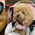 大衆食堂みゆき - 上の空？ｗ