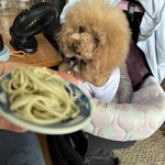 そば処 湧水 - シェリモ大好きな蕎麦