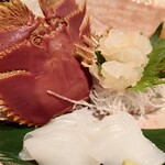 亜紗 本店 - 五島 うちわ海老、水いか②