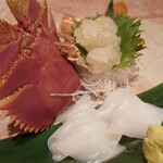 亜紗 - 五島 うちわ海老、水いか①