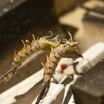 和酒と備長炉端 二代目その - 活車エビ踊り焼き