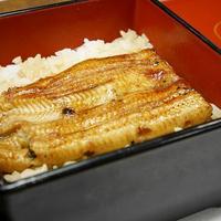 割烹 蒲焼 大沼 - うな重（並）